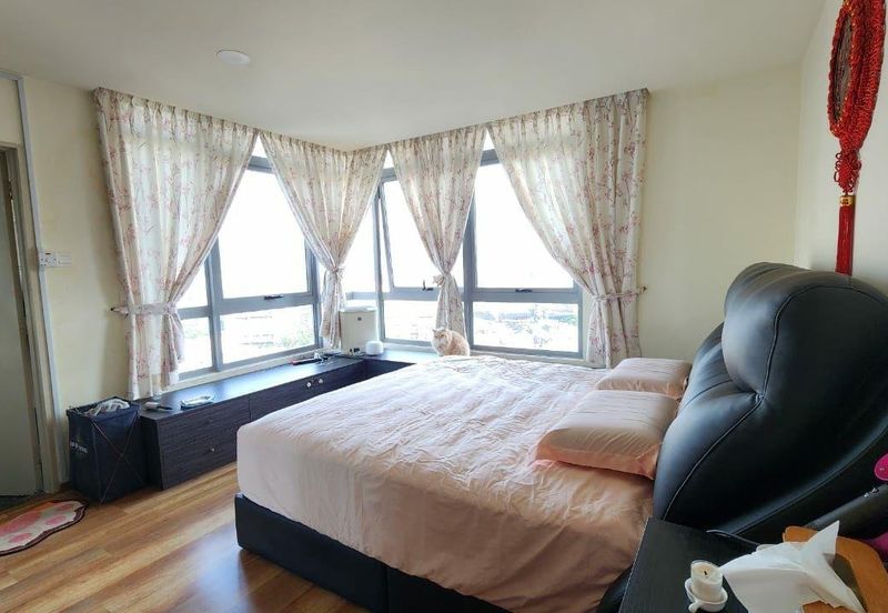 Taragon Puteri Bintang