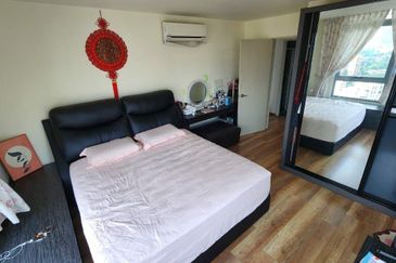 Taragon Puteri Bintang