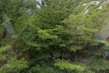 The Mansions @ Parkcity Heights