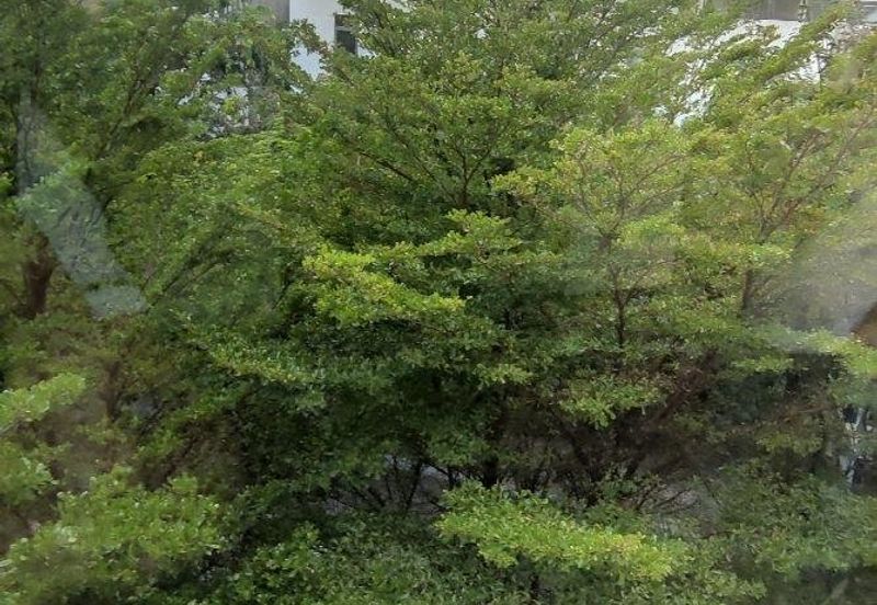 The Mansions @ Parkcity Heights