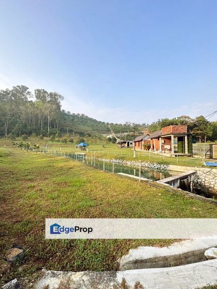 Freehold 6 acre Durian Farm, Mukim Serendah, Selangor, Serendah