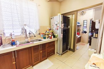 Anggerik Doritis @ Kota Kemuning