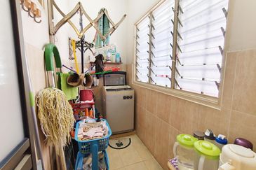 Anggerik Doritis @ Kota Kemuning