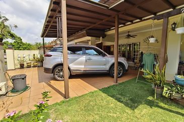 Anggerik Doritis @ Kota Kemuning