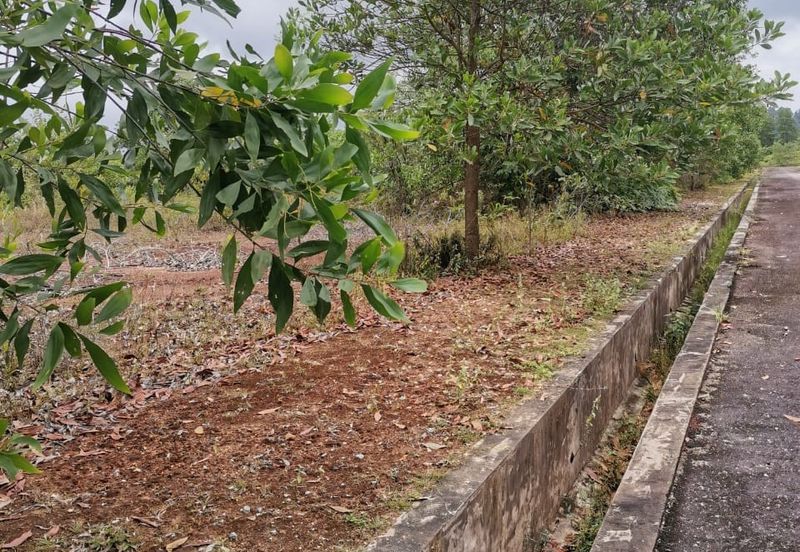 Gambang, Kuantan Industrial Land with Split title for Development