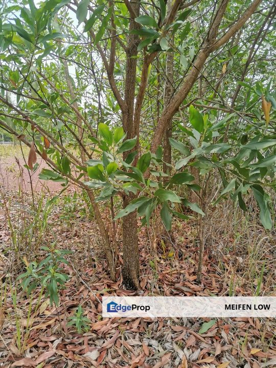 Gambang, Kuantan Industrial Land with Split title for Development, Pahang, Kuantan