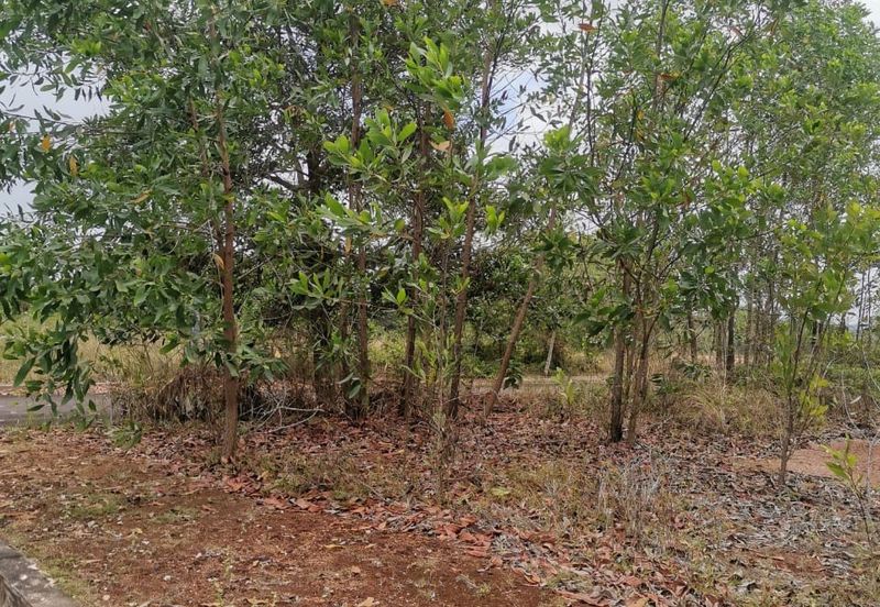 Gambang, Kuantan Industrial Land with Split title for Development