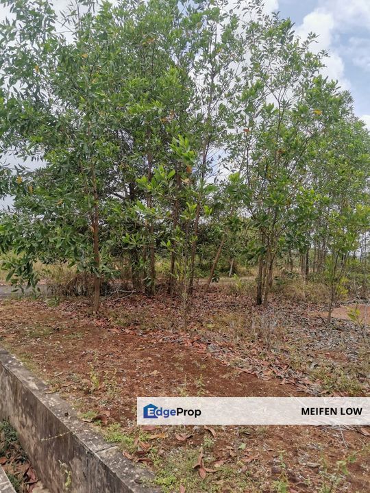 Gambang, Kuantan Industrial Land with Split title for Development, Pahang, Kuantan