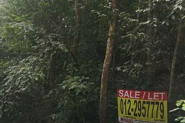 LAND FOR SALE, KG ULU GENTAM, KUALA PILAH NEGERI SEMBILAN