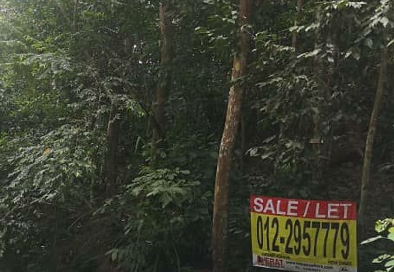 LAND FOR SALE, KG ULU GENTAM, KUALA PILAH NEGERI SEMBILAN