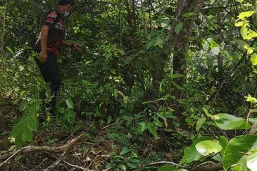 Land for Sale, Ulu Gentam, Kuala Pilah @ Negeri Sembilan