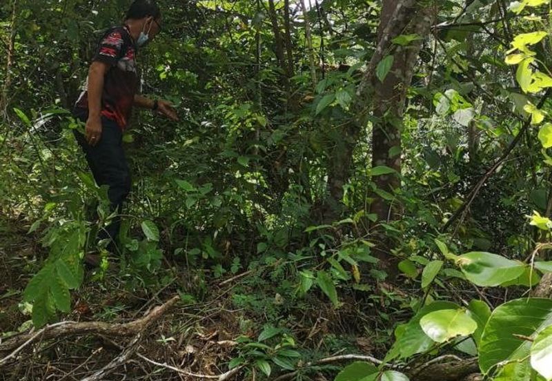Land for Sale, Ulu Gentam, Kuala Pilah @ Negeri Sembilan