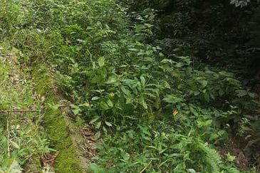 Land for Sale, Ulu Gentam, Kuala Pilah @ Negeri Sembilan