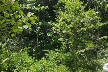 Land for Sale, Ulu Gentam, Kuala Pilah @ Negeri Sembilan