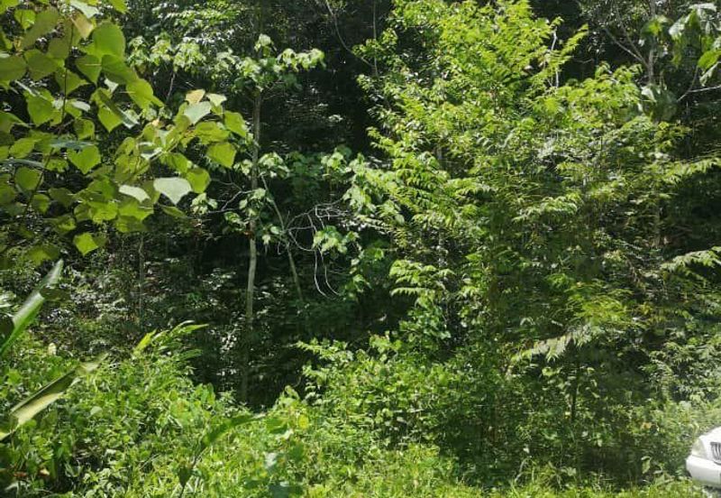 Land for Sale, Ulu Gentam, Kuala Pilah @ Negeri Sembilan