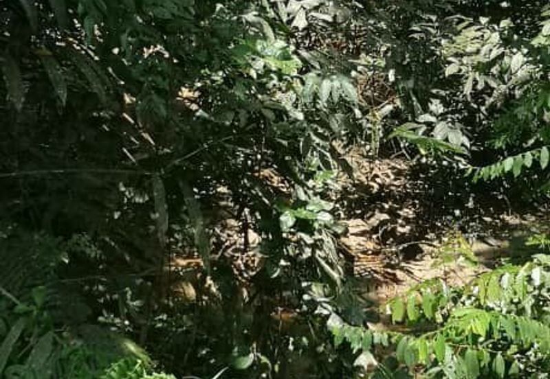 Land for Sale, Ulu Gentam, Kuala Pilah @ Negeri Sembilan