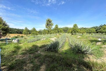 Jasin Industrial Park