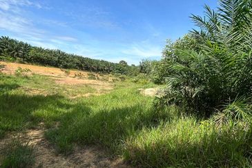 Jasin Industrial Park