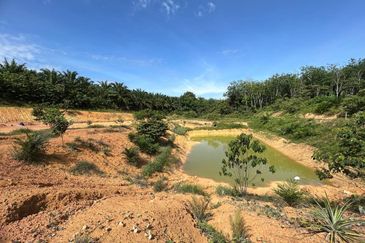 Jasin Industrial Park