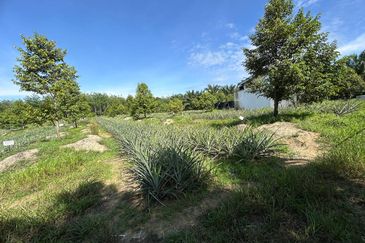 Jasin Industrial Park