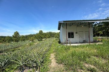 Jasin Industrial Park