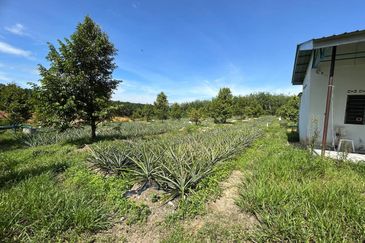 Jasin Industrial Park