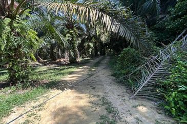 Jasin Industrial Park