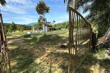 Jasin Industrial Park