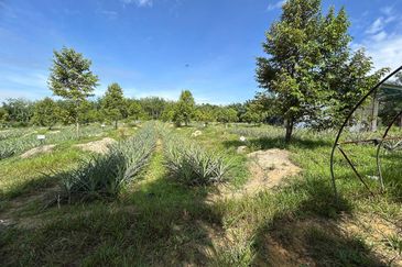 Jasin Industrial Park