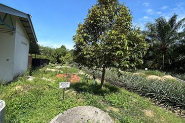 Jasin Industrial Park