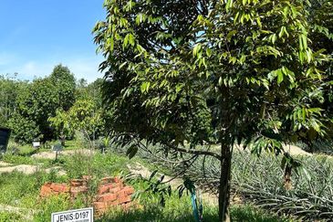 Jasin Industrial Park