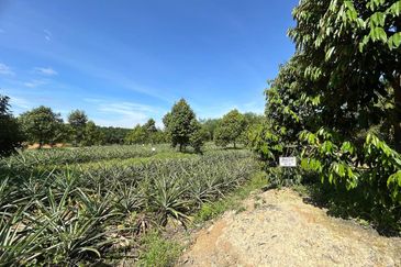 Jasin Industrial Park