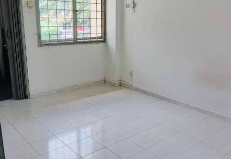 Pinang 1B Gallery 1E