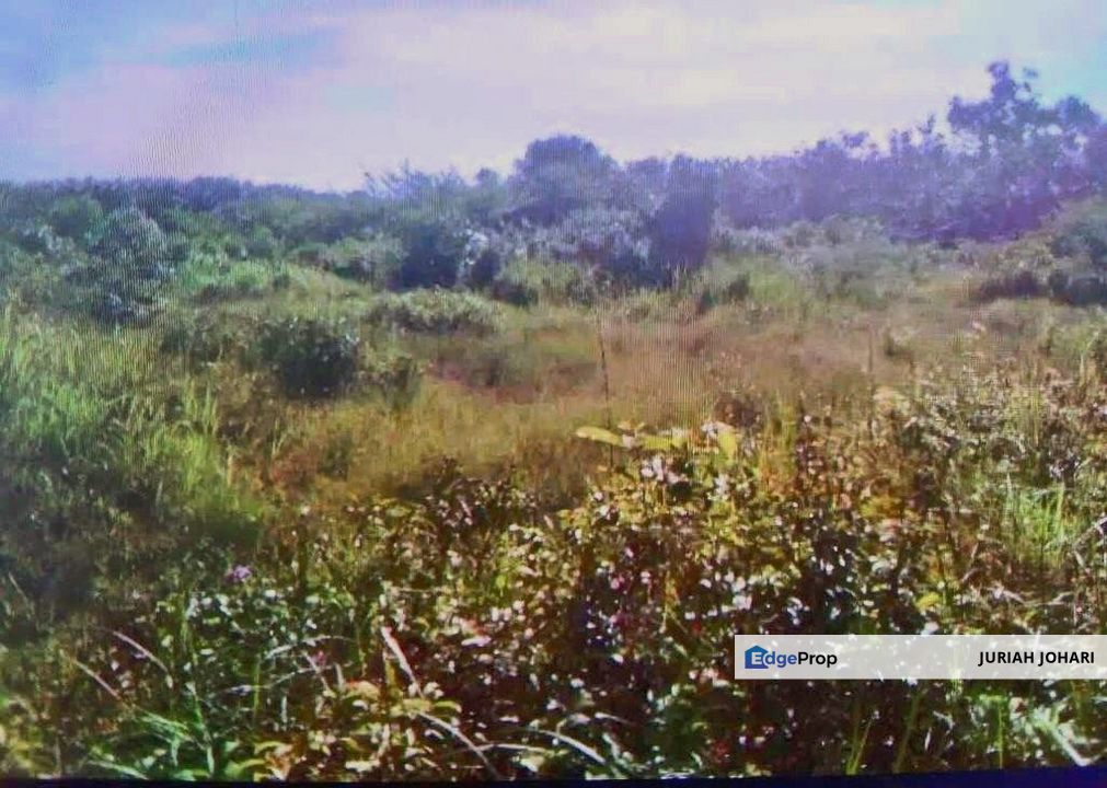 Tanah untuk dijual, Pasir Panjang, Port Dickson, Negeri Sembilan, Port Dickson