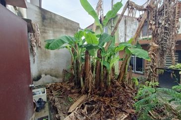 Bandar Bukit Beruntung