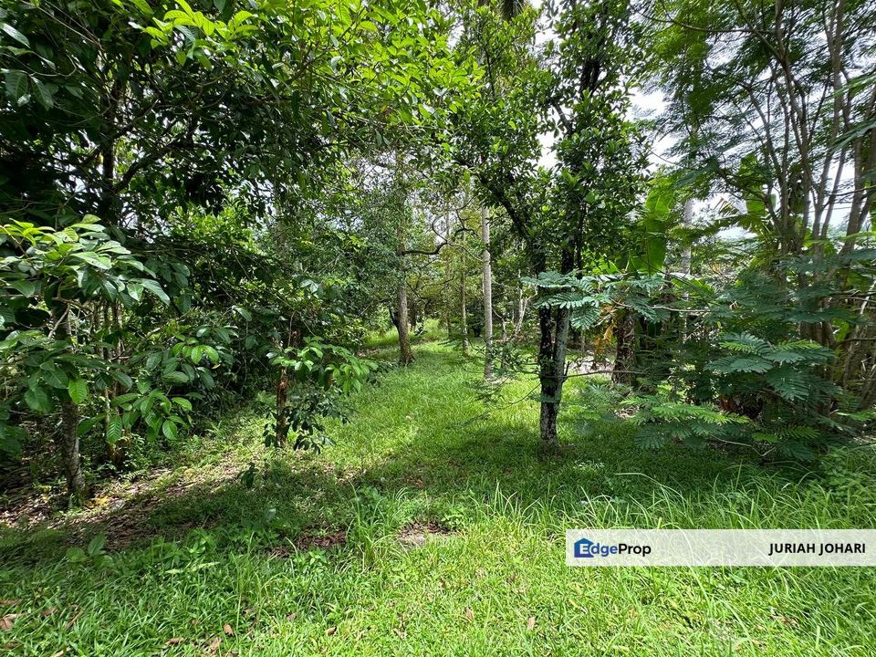 Rawang, Tanah Bungalow Lot, Kampung Sungai Serai untuk dijual, Selangor, Rawang