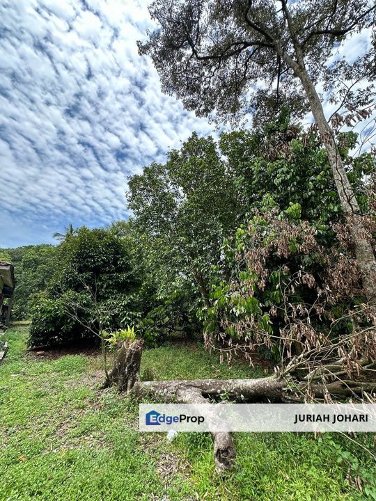 Rawang, Tanah Bungalow Lot, Kampung Sungai Serai untuk dijual, Selangor, Rawang