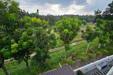 Bukit Jelutong