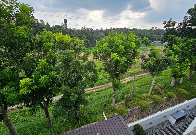 Bukit Jelutong