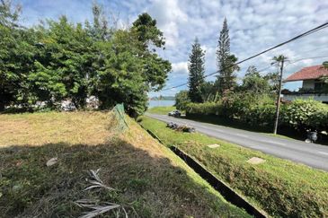 Stulang Laut / Darat