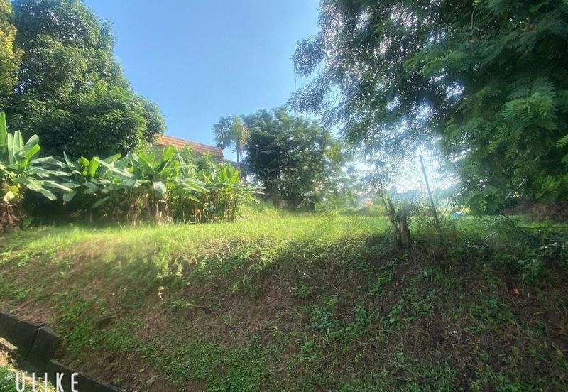 Stulang Laut / Darat