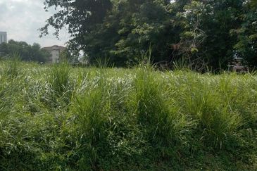 Stulang Laut / Darat