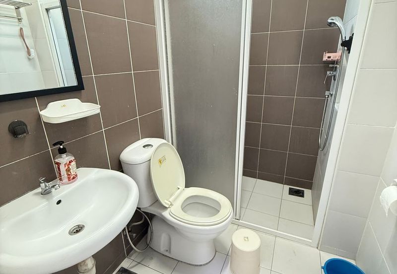 Maple Red, Adda Heights