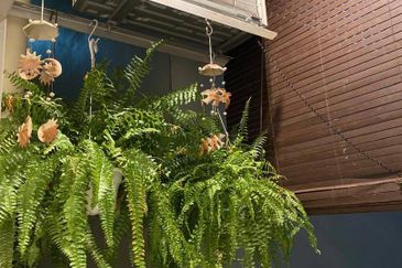 Taman Laguna Heights