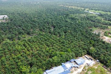 Taman Pontian Perdana