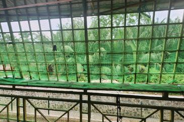 Lily & Jasmine Apartment