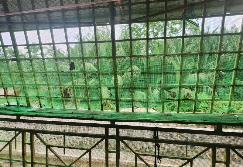 Lily & Jasmine Apartment