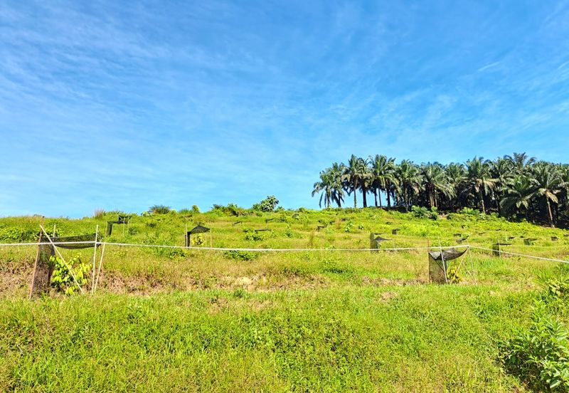 Kerling Industrial Land