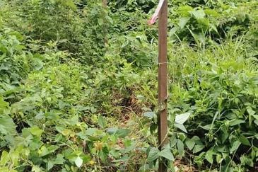 Lot tanah. Jalan Jelatek. Ampang. KLCC.