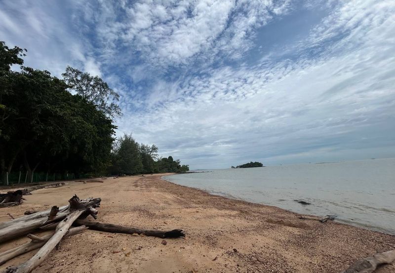 Agricultural land. Port Dickson. 